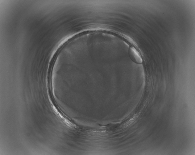 X0000078840943200612111552