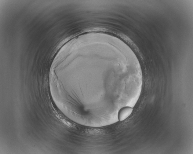 X0000078840945200612111552