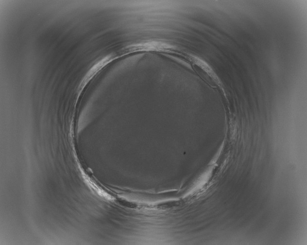 X0000078840946200612111552