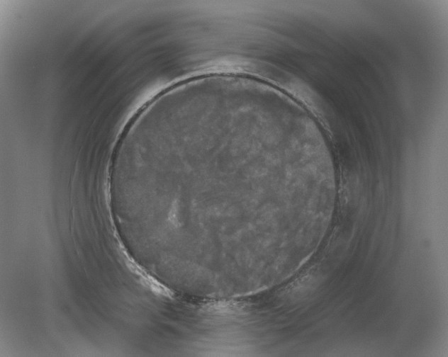 X0000078840950200612111552