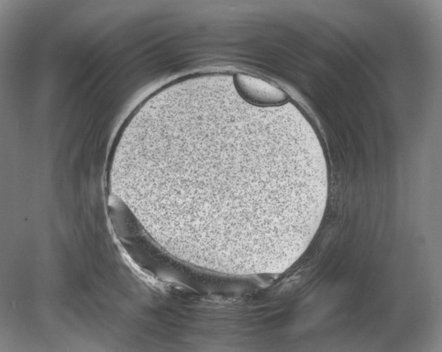 X0000078840951200612111552