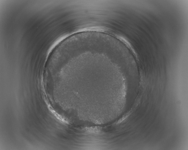 X0000078840952200612111552