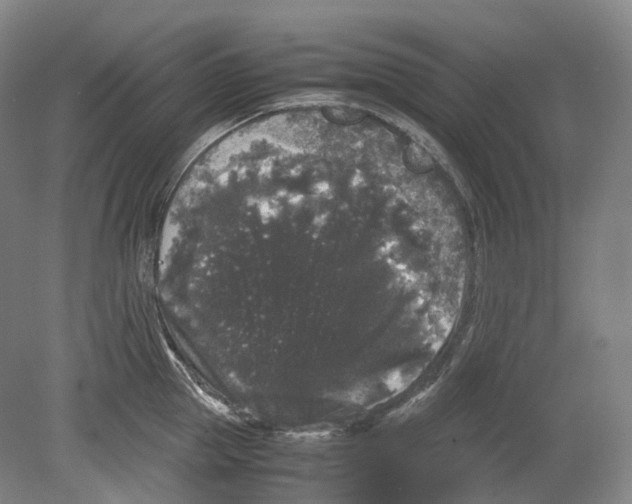 X0000078840953200612111552