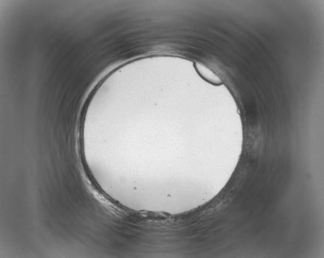 X0000078840955200612111552