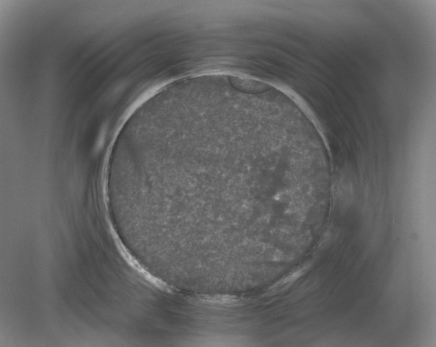 X0000078840957200612111552