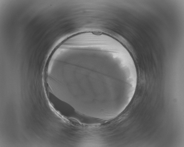 X0000078840958200612111552