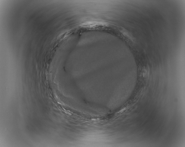 X0000078840965200612111551