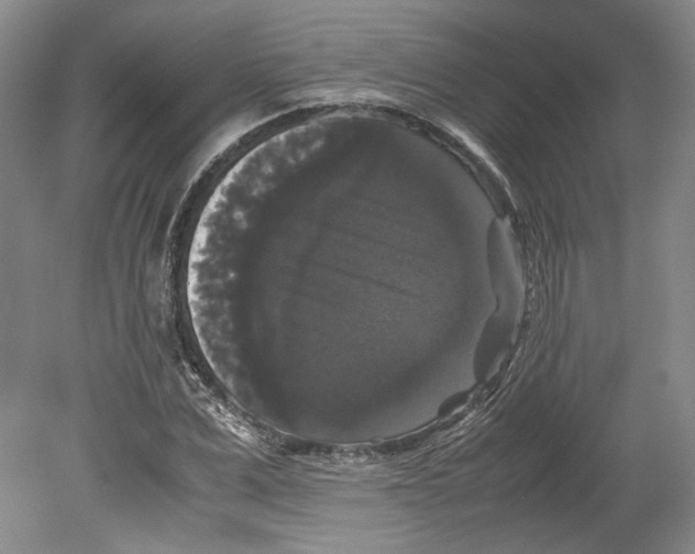 X0000078840975200612111551