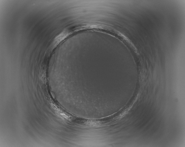 X0000078840977200612111551