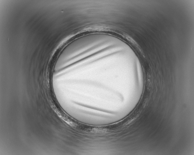 X0000078840981200612111551