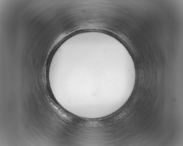 X0000078840982200612111551