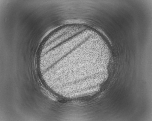 X0000078840983200612111551