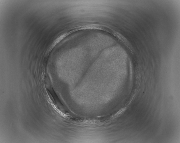 X0000078840985200612111551