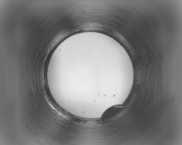 X0000078840986200612111551