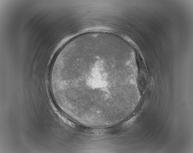 X0000078840989200612111551