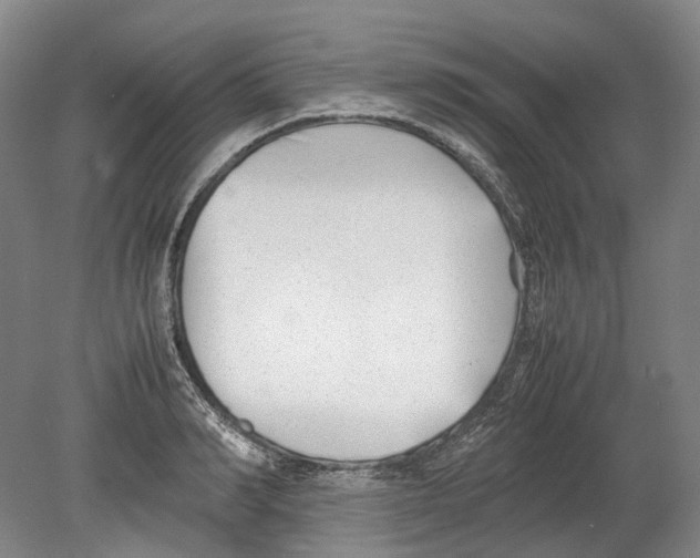 X0000078840990200612111551