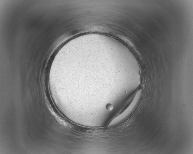 X0000078840991200612111551