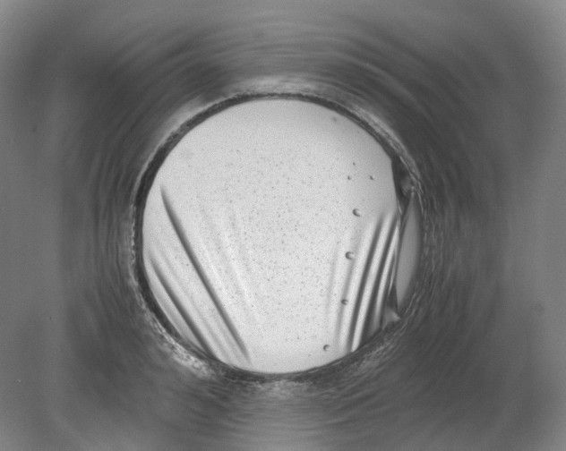 X0000078840992200612111551