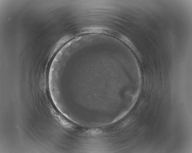 X0000078840994200612111551