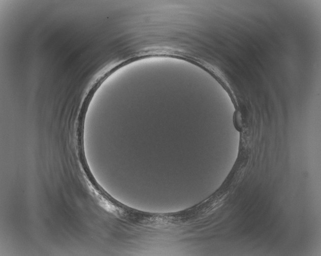 X0000078840995200612111551