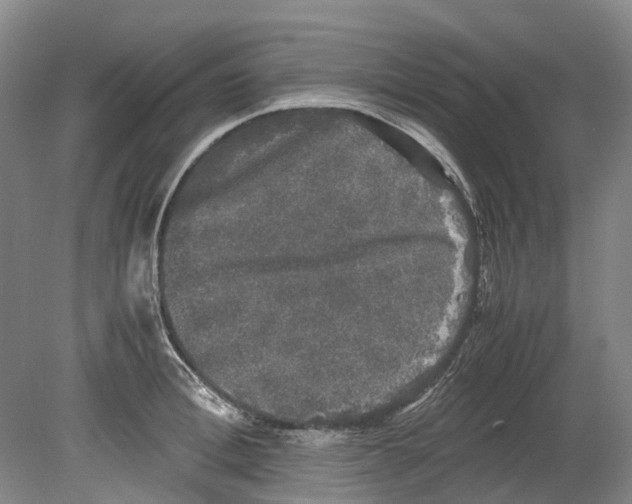 X0000078840996200612111551