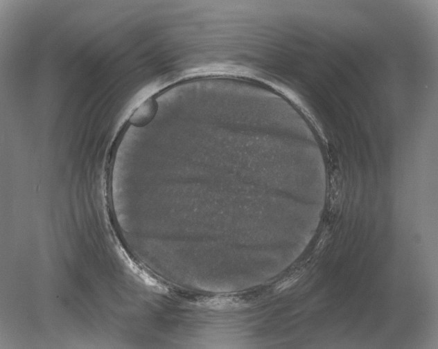 X0000078840998200612111551