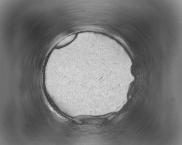 X0000078840999200612111551