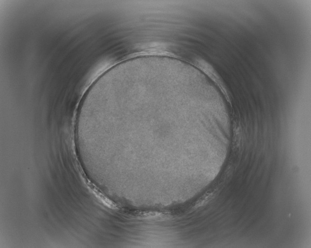 X0000078841002200612111550