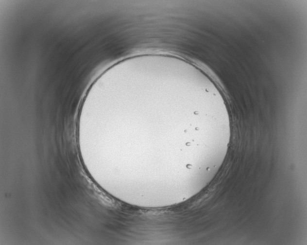 X0000078841004200612111550