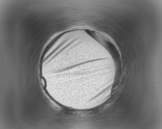 X0000078841005200612111550