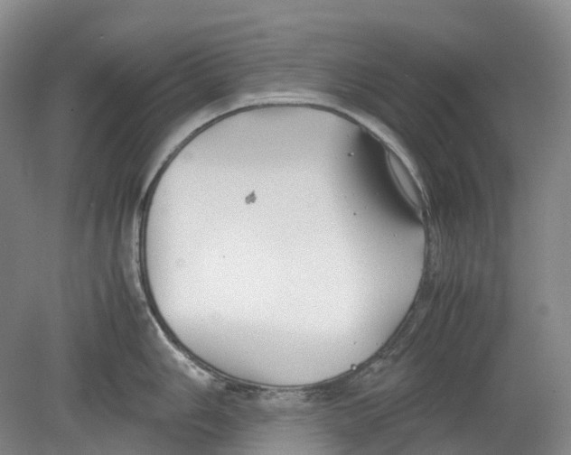 X0000078841006200612111550