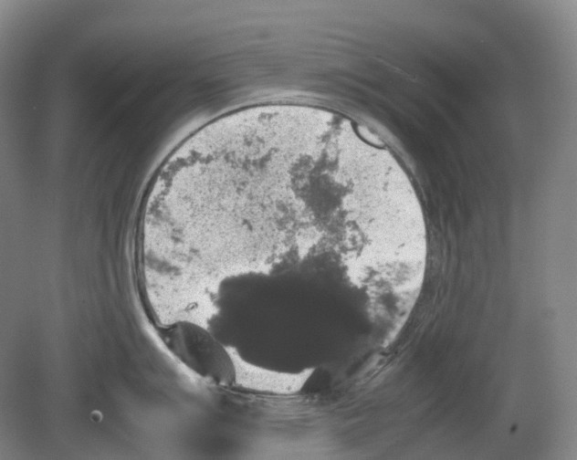 X0000078841007200612111550