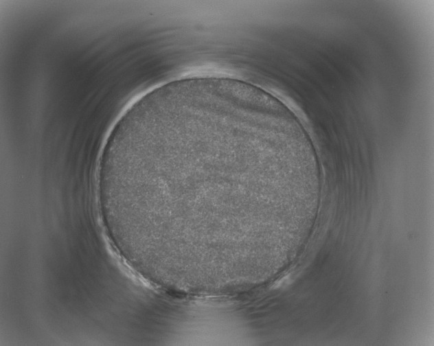 X0000078841008200612111550