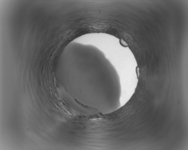 X0000078841009200612111550