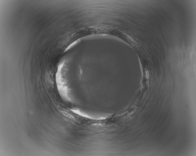 X0000078841010200612111550