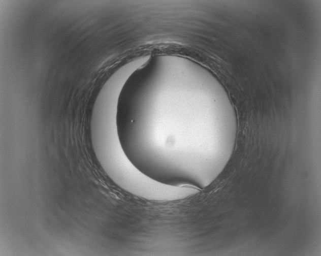 X0000078841014200612111550