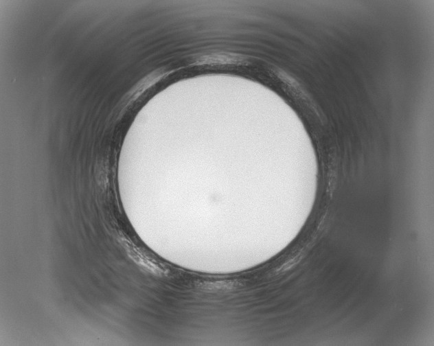 X0000078841017200612111550