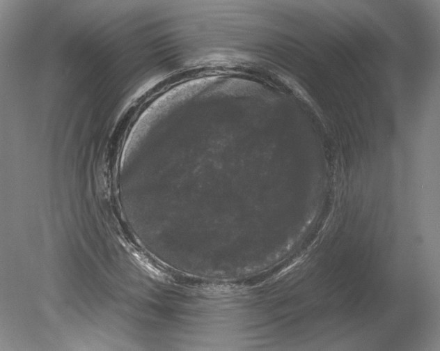 X0000078841018200612111550