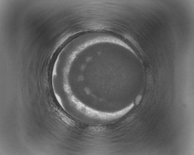 X0000078841023200612111550