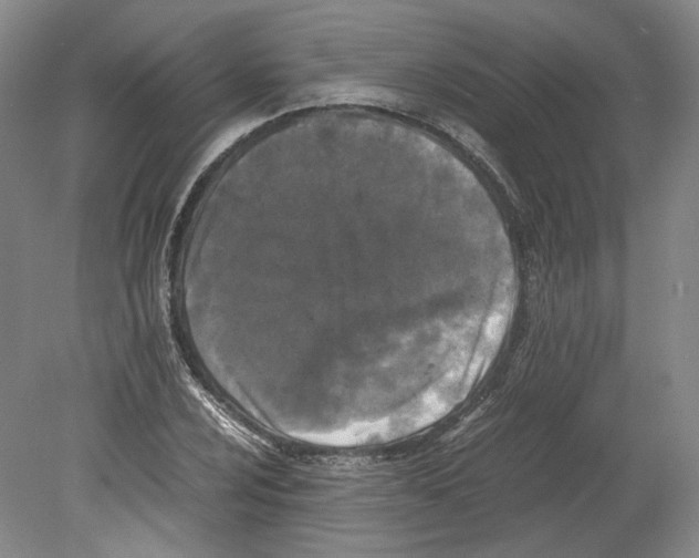 X0000078841024200612111550