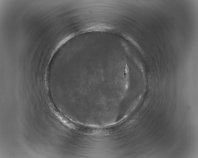 X0000078841026200612111550