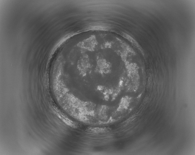 X0000078841027200612111550