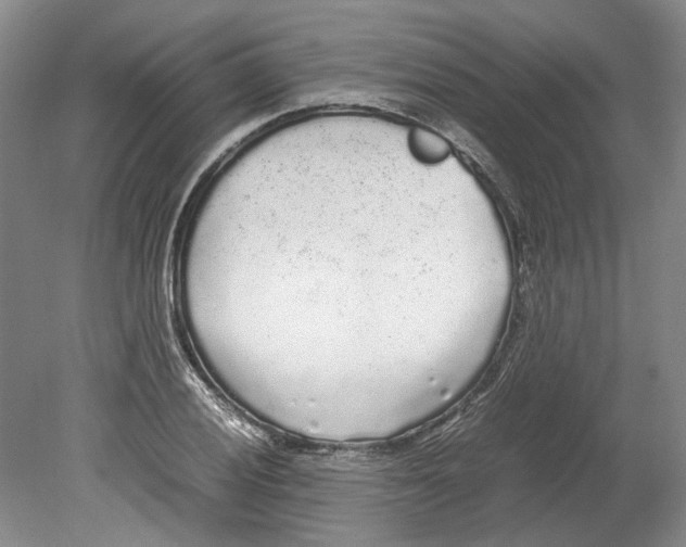 X0000078841028200612111550