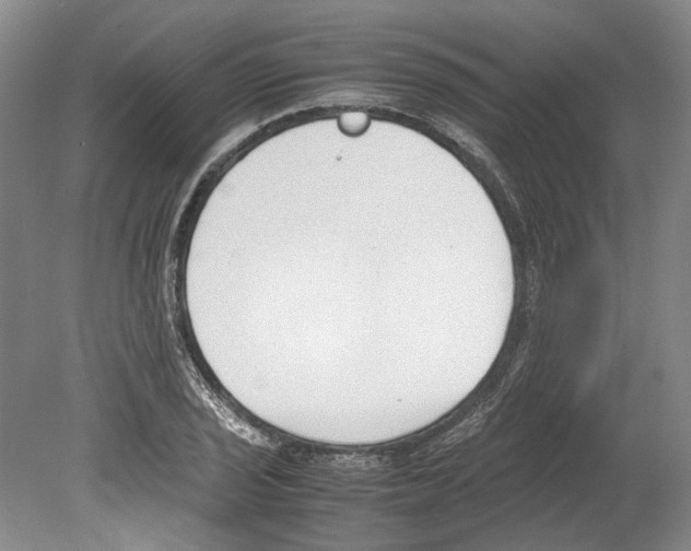 X0000078841029200612111550