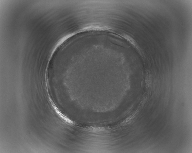 X0000078841030200612111550