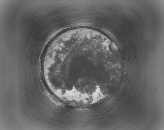 X0000078841031200612111550