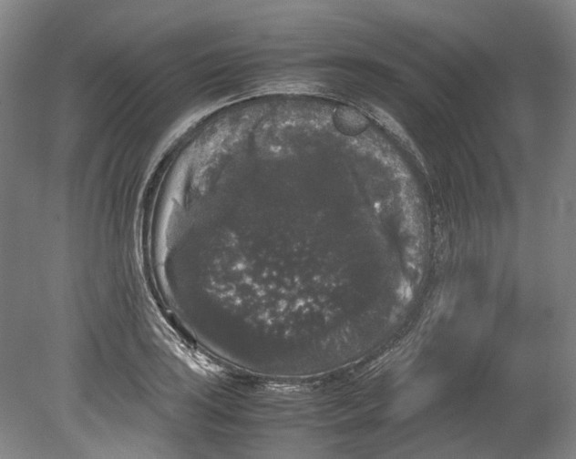 X0000078841035200612111550