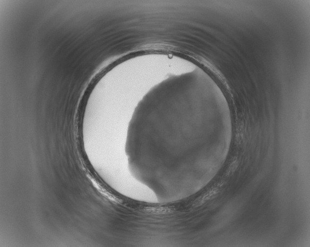 X0000078841037200612111550