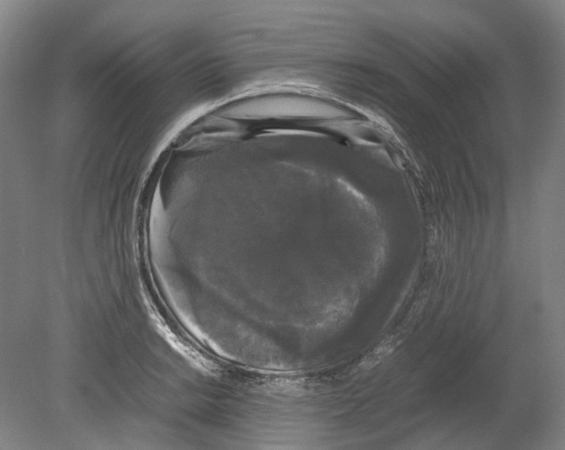 X0000078841038200612111550