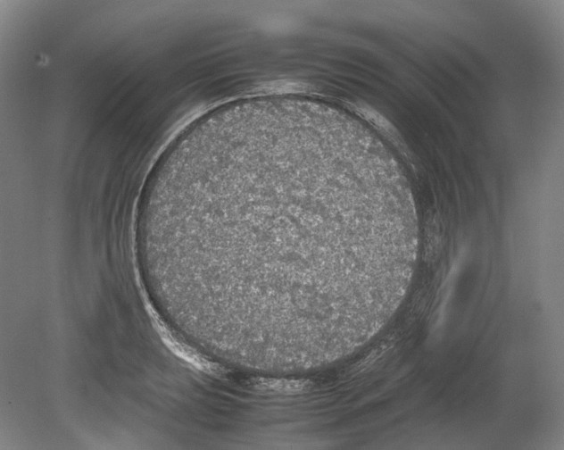 X0000078841039200612111550